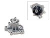 Water Pump:19200-PC6-000