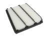 Luftfilter Air Filter:17220-P5A-000