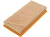 Air Filter:28113-22010