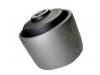 Suspension Bushing Suspension Bushing:55045-0M000